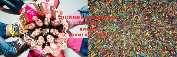 ГАЛЛЮЦИНОГЕННЫЕ ГРИБЫ Лихославль