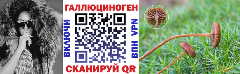 Галлюциногенные грибы Psilocybe маркетплейс как зайти Киренск